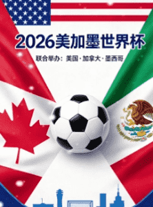 2026世界杯官方比赛场馆概念图