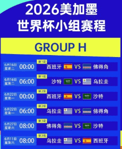 FIFA官方合作伙伴